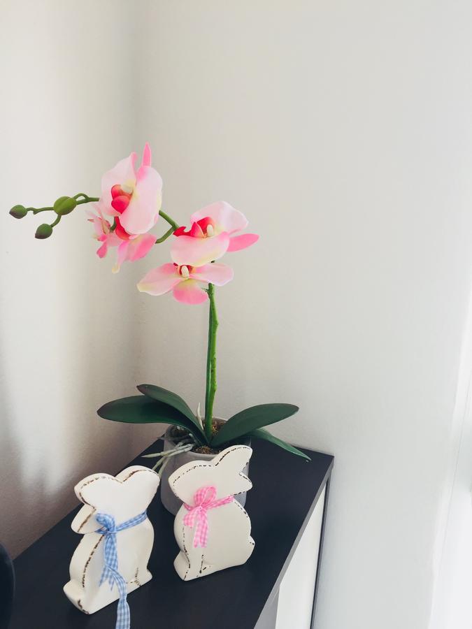 Apartments Paula กอร์จูลา ภายนอก รูปภาพ